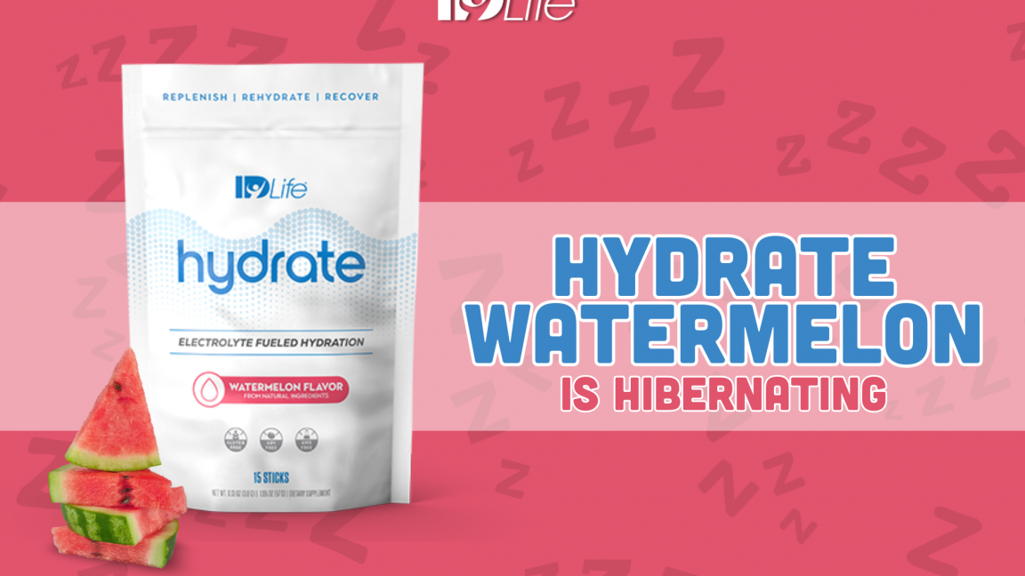 Hydrate Watermelon is hibernating!